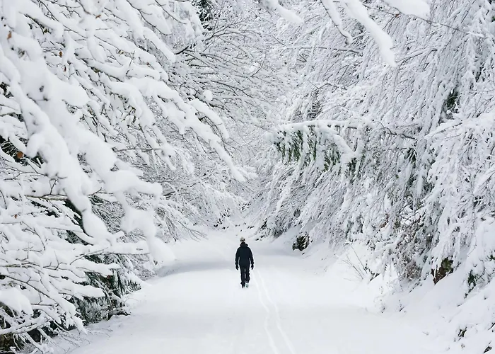 Casa Vity By Bevalle Panticosa