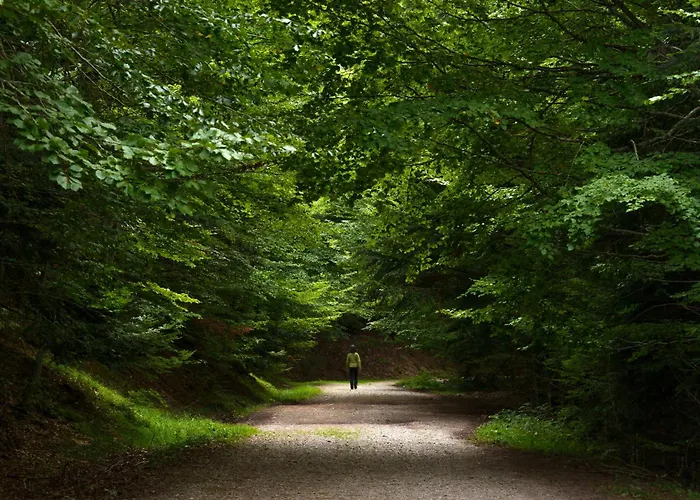 Chalet Casa Vity By Bevalle Panticosa